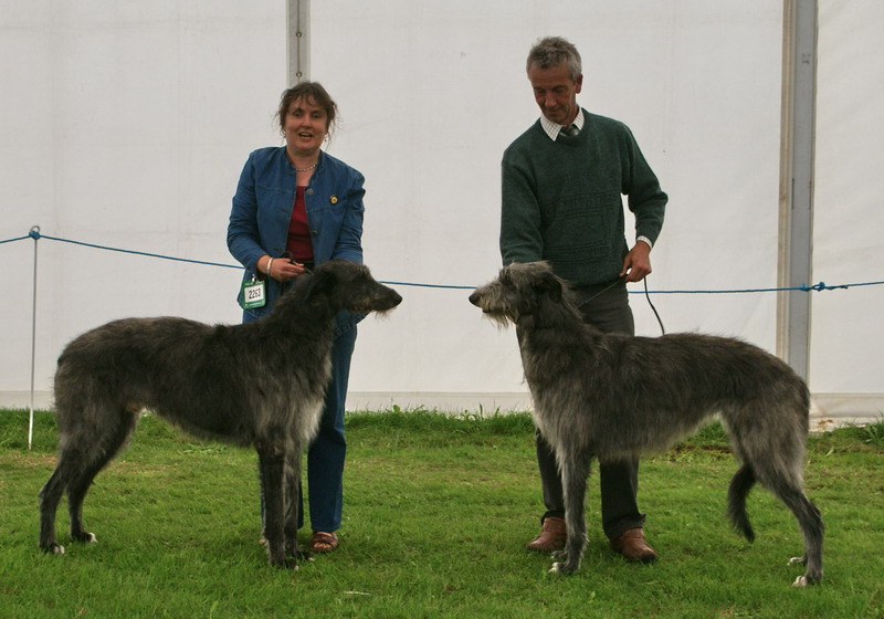 Reserve CC winners Welsh Kennel Club 2009